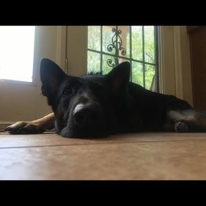 Meet your Posher, Heather